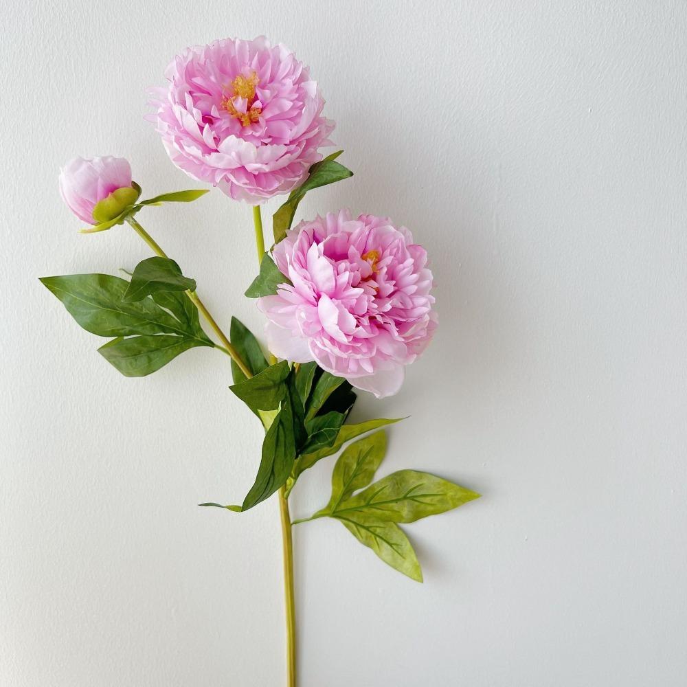 75CM Peony Silk Flowers Table Decor 3 Heads Simulation Flowers DIY Long Branch Artificial Peony Bouquet Home Wedding Decoration темно-рожевого кольору
75CM Peony Silk Flowers Table Decor 3 Heads Simulation Flowers DIY Long Branch Artificial Peony Bouquet Home Wedding Decoration темно-рожевого кольору