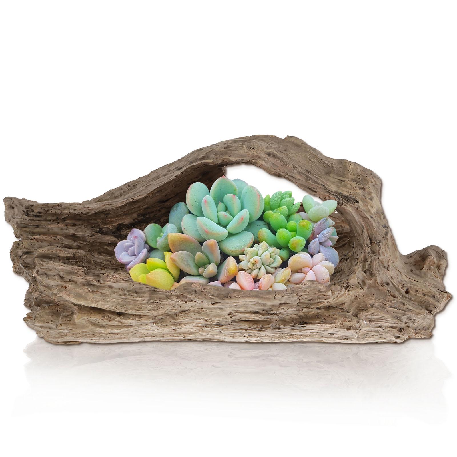 Суккулентные посадочные горшки с дренажным отверстием, смола, коряга, цветочный горшок, форма пня, комнатное, уличное украшение, садовое украшение
Суккулентные посадочные горшки с дренажным отверстием, смола, коряга, цветочный горшок, форма пня, комнатное, уличное украшение, садовое украшение