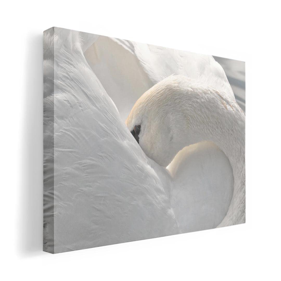 Art 420mm x Wall Wooden Stylish Interior Animal Panel, Painting, Decoration, igsticker, 297mm, A3, Photo, Hanging, Frame, Decor, 023866, Swan,
Art 420mm x Wall Wooden Stylish Interior Animal Panel, Painting, Decoration, igsticker, 297mm, A3, Photo, Hanging, Frame, Decor, 023866, Swan,