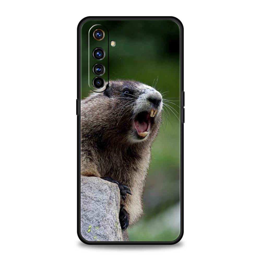 Чехол для телефона Marmot для Realme 12 11 10 9 8 5G 7 6 GT5 GT3 GT2 Pro Plus C21 C11 C25 C35 Для Realme GT Neo 2 3 3T Мягкий 5 Чехол Realme 7
Чехол для телефона Marmot для Realme 12 11 10 9 8 5G 7 6 GT5 GT3 GT2 Pro Plus C21 C11 C25 C35 Для Realme GT Neo 2 3 3T Мягкий 5 Чехол Realme 7