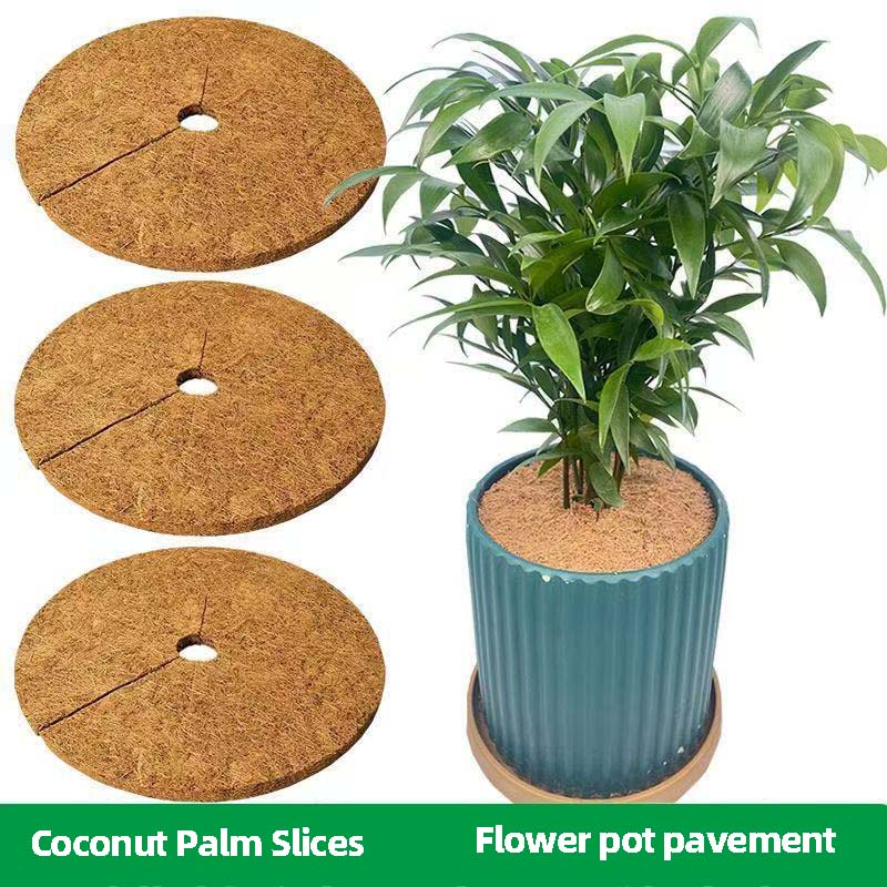 New Plant Pot Coconut Fiber Mat Round Slotted Flat Pad for Weed Prevention Soil Leakage Gardening Tool 20cm
New Plant Pot Coconut Fiber Mat Round Slotted Flat Pad for Weed Prevention Soil Leakage Gardening Tool 20cm