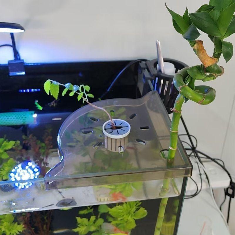 Corner Shelving Unit For Aquariums (No Drilling Required ) One Size
Corner Shelving Unit For Aquariums (No Drilling Required ) One Size