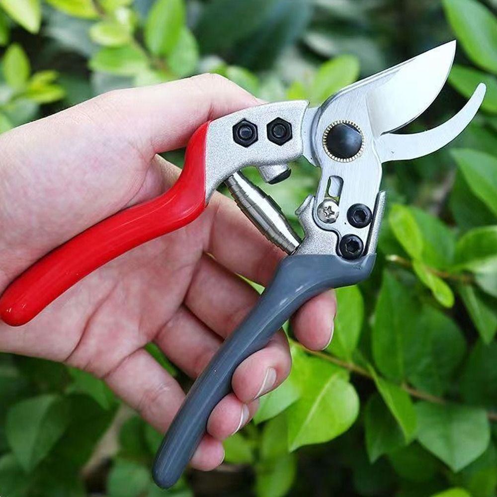 SK5 Steel Branch Pruning Scissors Manual Garden Shears Plant Pruning Machine Hand Pruner Garden
SK5 Steel Branch Pruning Scissors Manual Garden Shears Plant Pruning Machine Hand Pruner Garden
