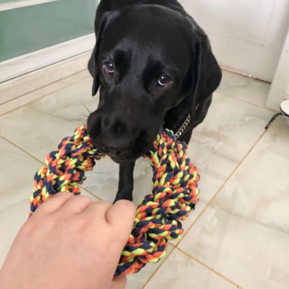 19cm Dog Bite Round Rope Toys Bite Resistant Round Rope Pet Chew Toys Dog Chew Rope Toy Cleaning красный
19cm Dog Bite Round Rope Toys Bite Resistant Round Rope Pet Chew Toys Dog Chew Rope Toy Cleaning красный
