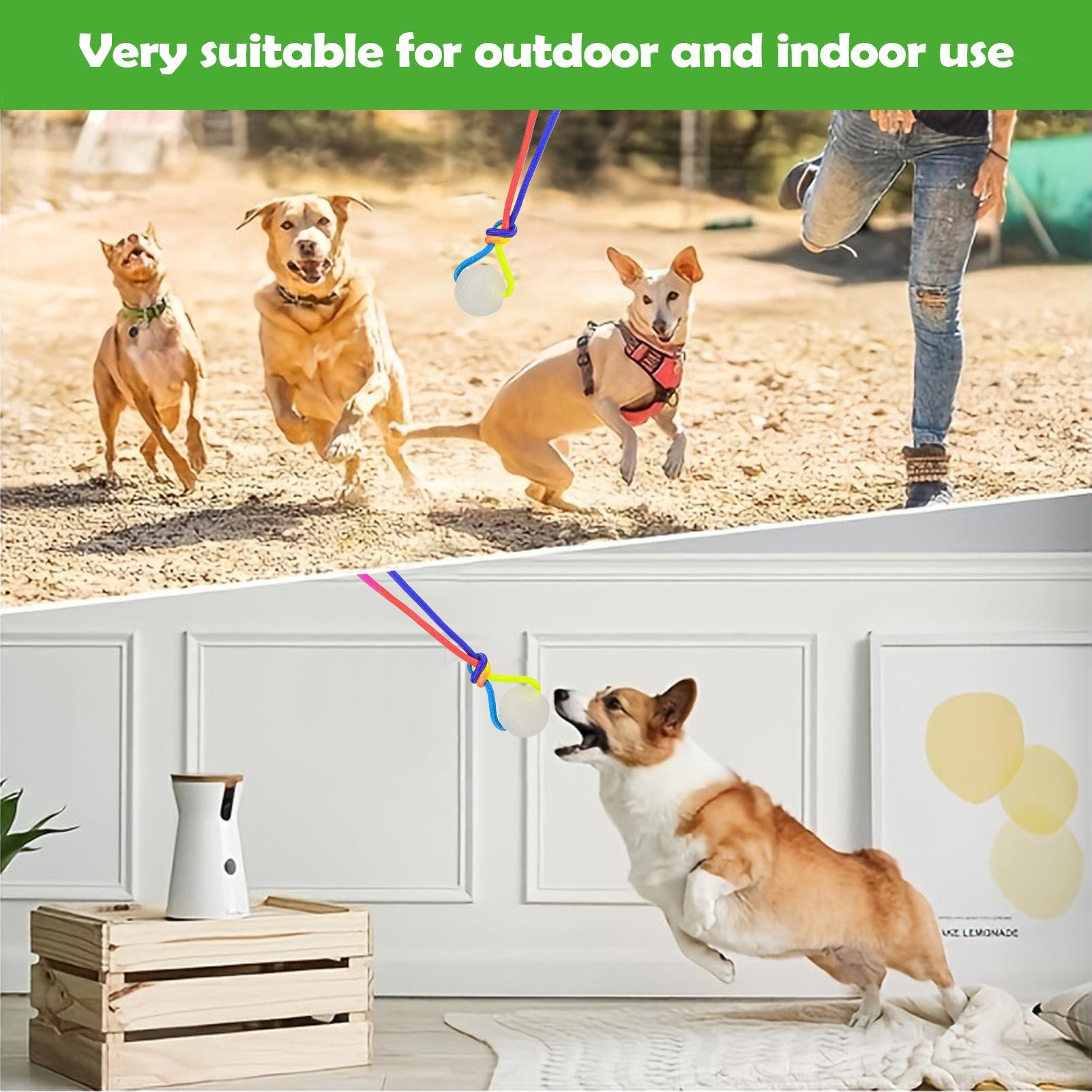 Dog Balls For Aggressive Chewers Glow-in-the-Dark With Rope Enrichment Ball Toys For Dogs For Aggressive Chewers Puppy Training China Mainland
Dog Balls For Aggressive Chewers Glow-in-the-Dark With Rope Enrichment Ball Toys For Dogs For Aggressive Chewers Puppy Training China Mainland