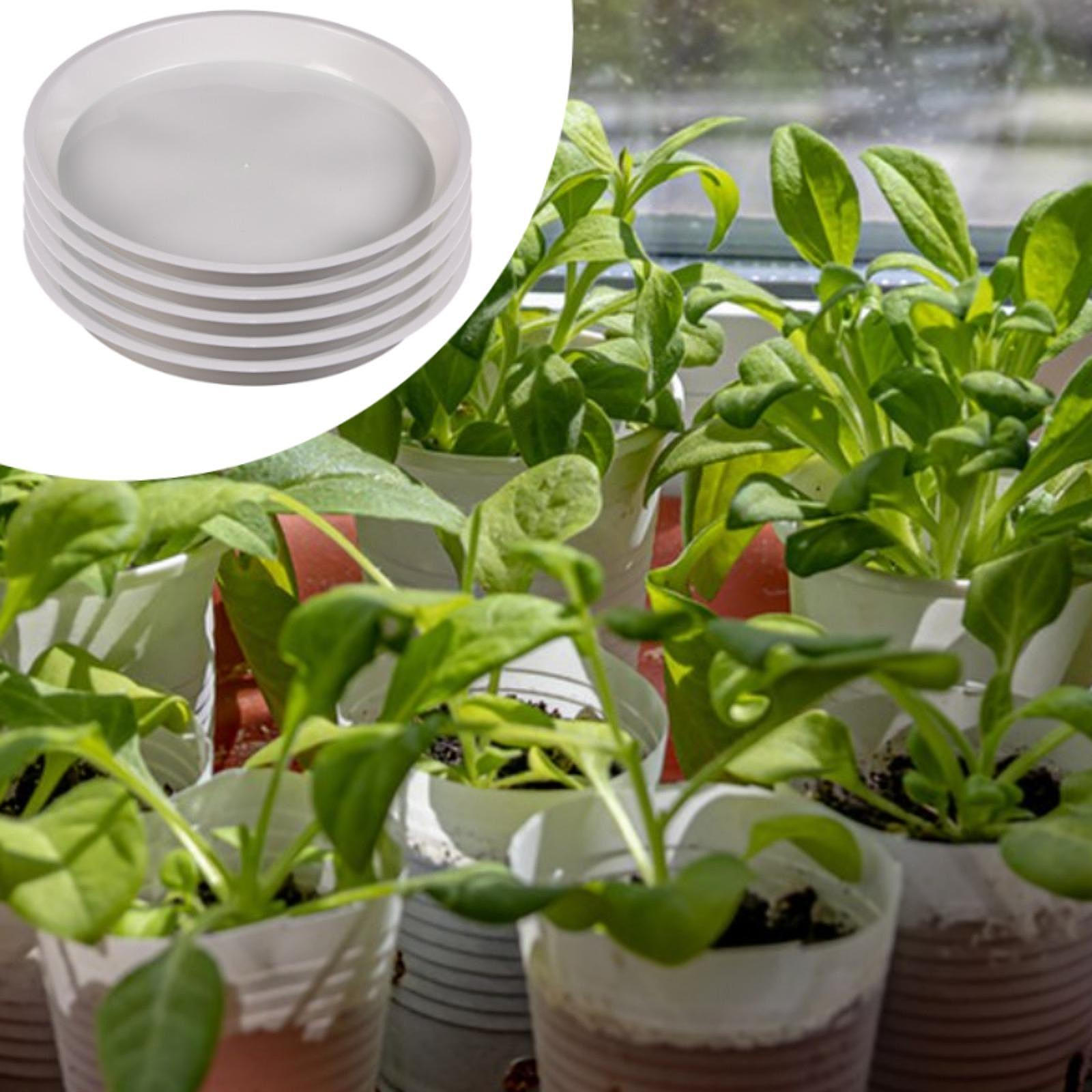 5 шт. поддонов для растений, поддоны для сбора воды, круглые, практичные, бытовые, прочные, для помещений XS
5 шт. поддонов для растений, поддоны для сбора воды, круглые, практичные, бытовые, прочные, для помещений XS