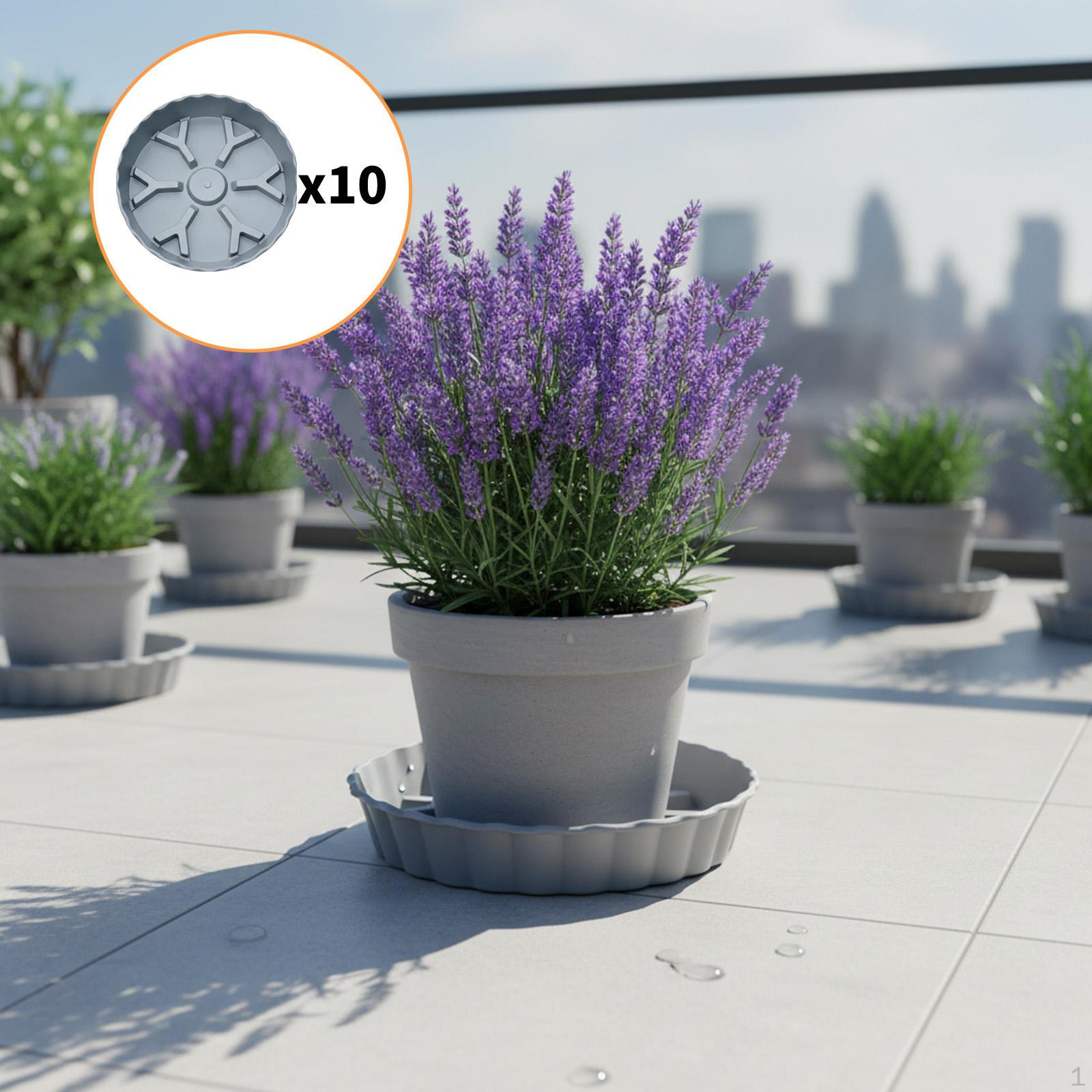 10 Breathable, Corrugated And Stable Y-shaped Plant Saucers (19.5 Cm) for Garden, Terrace сірий колір
10 Breathable, Corrugated And Stable Y-shaped Plant Saucers (19.5 Cm) for Garden, Terrace сірий колір