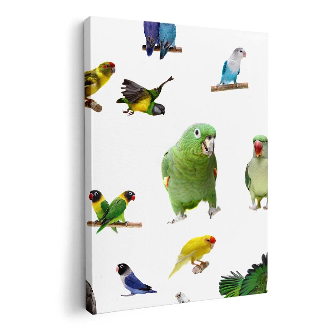 Art 420mm x Wall Wooden Stylish Interior Animal Photo Panel, Painting, Decoration, igsticker, 297mm, A3, Photo, Hanging, Frame, Decor, 003163, Animal,
Art 420mm x Wall Wooden Stylish Interior Animal Photo Panel, Painting, Decoration, igsticker, 297mm, A3, Photo, Hanging, Frame, Decor, 003163, Animal,