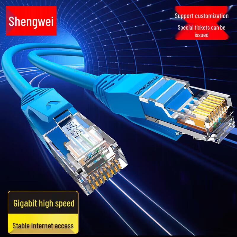 Shengwei Cat6 Gigabit Ethernet Cable
Shengwei Cat6 Gigabit Ethernet Cable