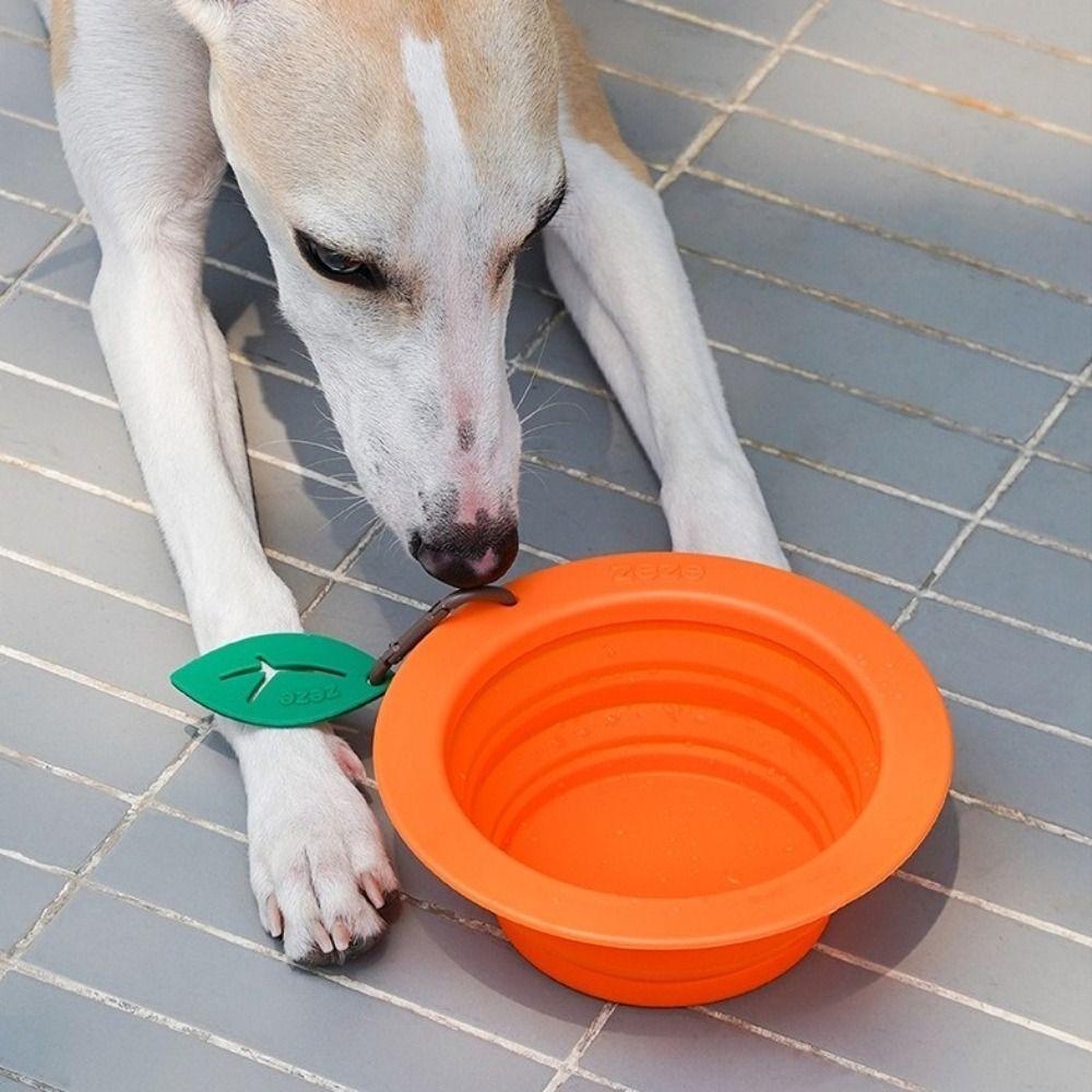 with Carabiner Dog Collapsible Dishes 350ML Puppy Food Container Pet Folding Bowl Outdoor Style 2
with Carabiner Dog Collapsible Dishes 350ML Puppy Food Container Pet Folding Bowl Outdoor Style 2