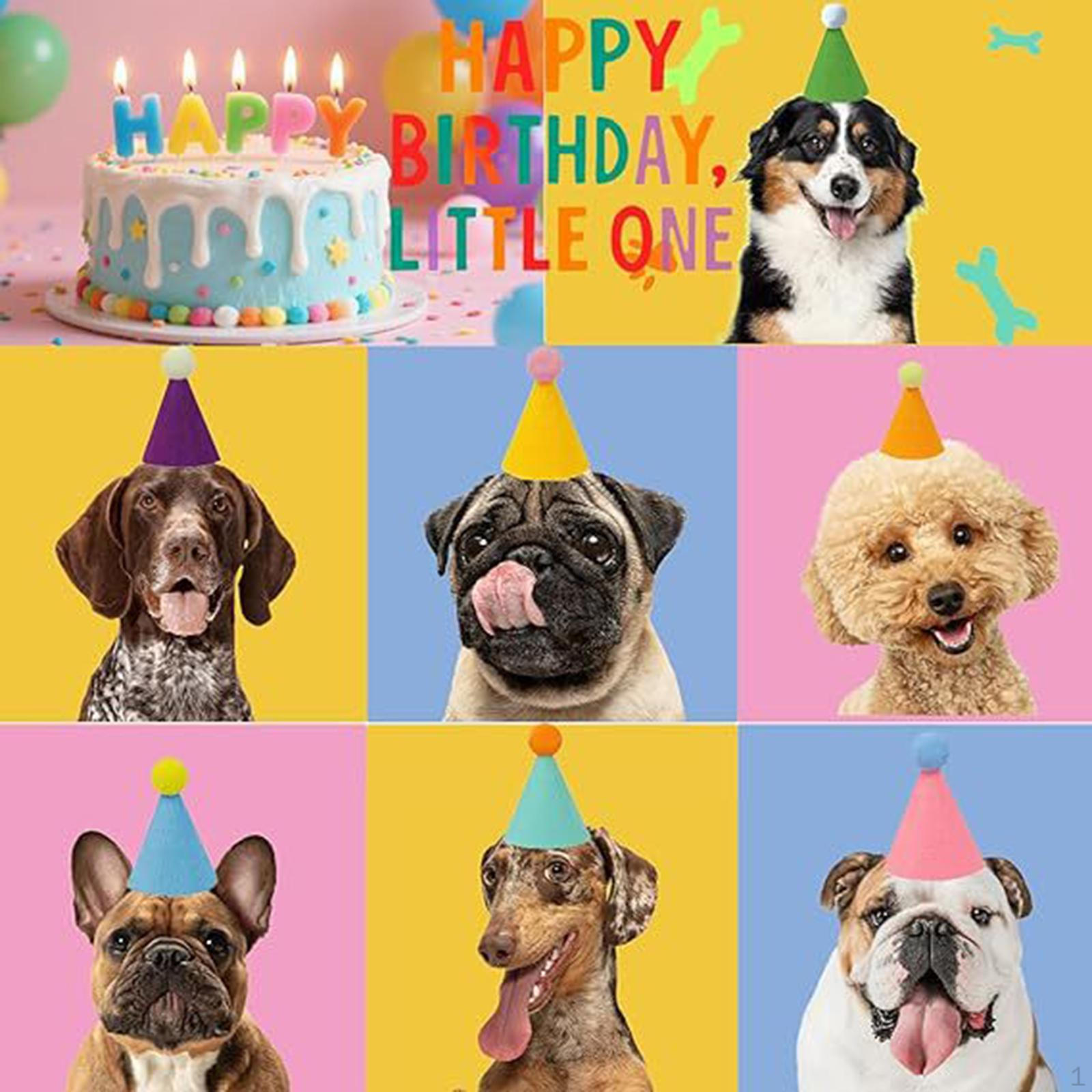 6 штук Мини-праздничные колпаки для питомцев Конус Нетканые Костюмные аксессуары Разноцветные для кошки Мягкие
6 штук Мини-праздничные колпаки для питомцев Конус Нетканые Костюмные аксессуары Разноцветные для кошки Мягкие