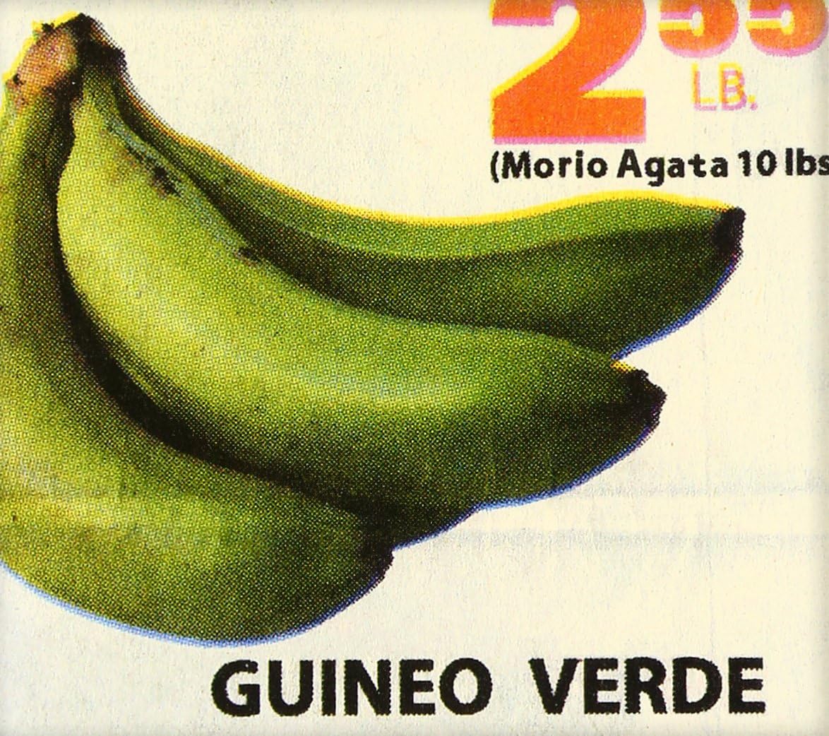 CD AGATA FOREST FISH - Guinea Verde(aoi banana) ROUTE1 Japan Japanese Pop/Rock Used
CD AGATA FOREST FISH - Guinea Verde(aoi banana) ROUTE1 Japan Japanese Pop/Rock Used
