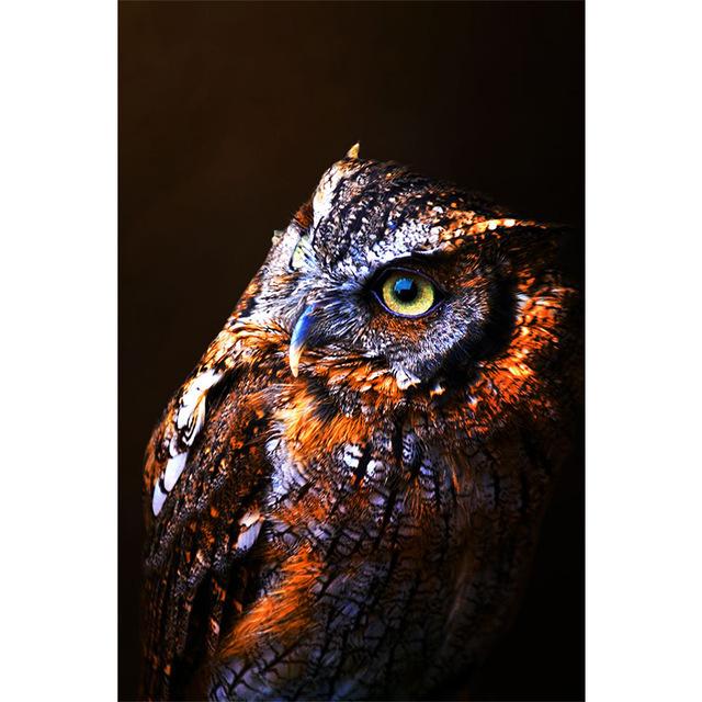 Современная художественная живопись, скандинавская Сова, бабочка, постер с животными, печать на холсте, украшение для гостиной, настенные панно 21*30cm
Современная художественная живопись, скандинавская Сова, бабочка, постер с животными, печать на холсте, украшение для гостиной, настенные панно 21*30cm