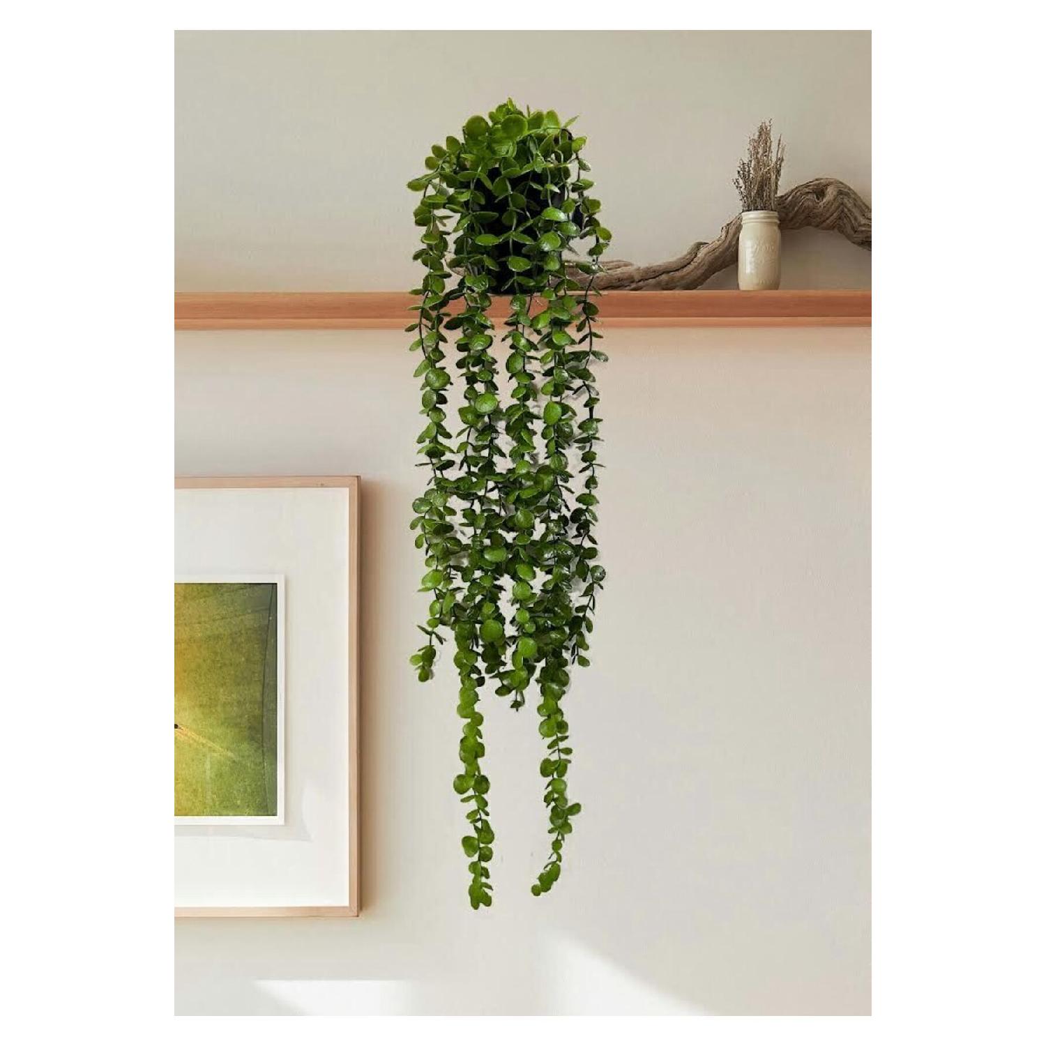 Artificial Flower Diamond Pot 80 Cm Dark Green Eucalyptus Pendant Lamp With Dense Leaves зелений
Artificial Flower Diamond Pot 80 Cm Dark Green Eucalyptus Pendant Lamp With Dense Leaves зелений