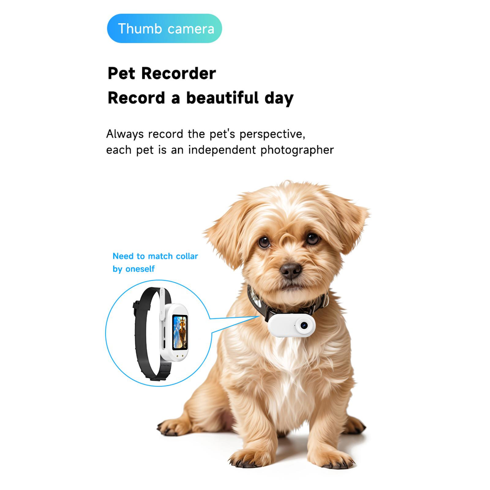 Body Tiny Camera 1080P with Magnetic Lanyard Video Recording Motion Camcorder Thumb Size Wearable 1RL + 1RT чорний
Body Tiny Camera 1080P with Magnetic Lanyard Video Recording Motion Camcorder Thumb Size Wearable 1RL + 1RT чорний