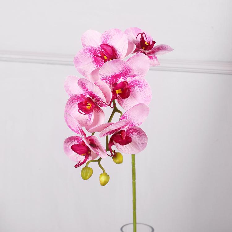 Realistic feel simulation Phalaenopsis hotel tape artificial flower ornament home, Phalaenopsis simulation flower
Realistic feel simulation Phalaenopsis hotel tape artificial flower ornament home, Phalaenopsis simulation flower