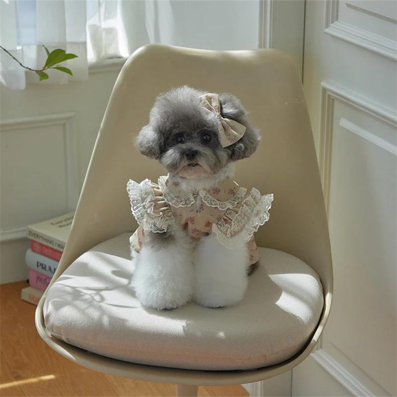 Dog Dresses Little Floral Printed Lace Ruffle Doll Collar Dresses for Small Dogs Girls Birthday Dresses Cat Outfits XS-XL XS(old)
Dog Dresses Little Floral Printed Lace Ruffle Doll Collar Dresses for Small Dogs Girls Birthday Dresses Cat Outfits XS-XL XS(old)