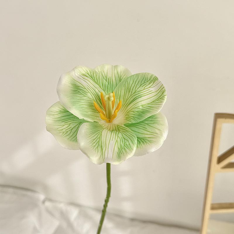 3D Printed Flip-Petal Tulip Bouquet: DIY Fake Flower for Home, Wedding, or Photography Decor. зелёный
3D Printed Flip-Petal Tulip Bouquet: DIY Fake Flower for Home, Wedding, or Photography Decor. зелёный