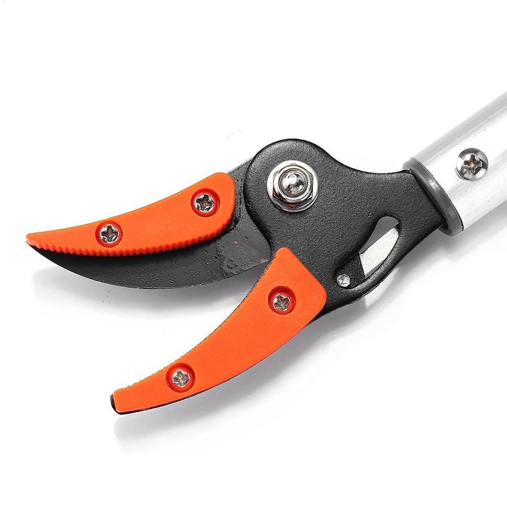 Cut And Hold Tree Pruner High Branch Fruit Picking Scissors Garden Fruit Picking Branches For Trimming Hedges Shrubs CN
Cut And Hold Tree Pruner High Branch Fruit Picking Scissors Garden Fruit Picking Branches For Trimming Hedges Shrubs CN