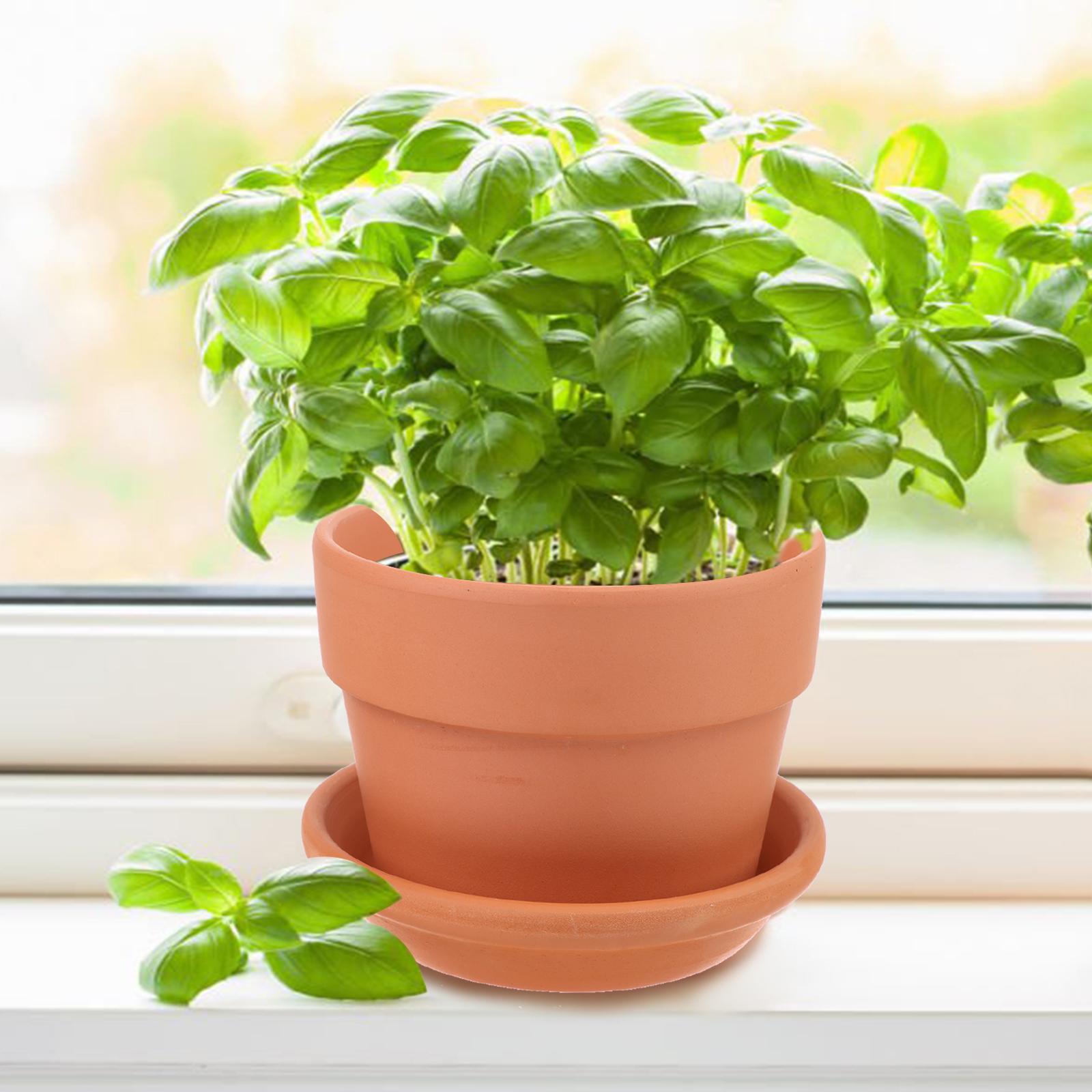 Beautywen 6 шт. терракотовые неглубокие кашпо с блюдцем 9 * 15 см большой терракотовый цветочный горшок с дренажным отверстием для внутреннего и наружного использования 
Beautywen 6 шт. терракотовые неглубокие кашпо с блюдцем 9 * 15 см большой терракотовый цветочный горшок с дренажным отверстием для внутреннего и наружного использования