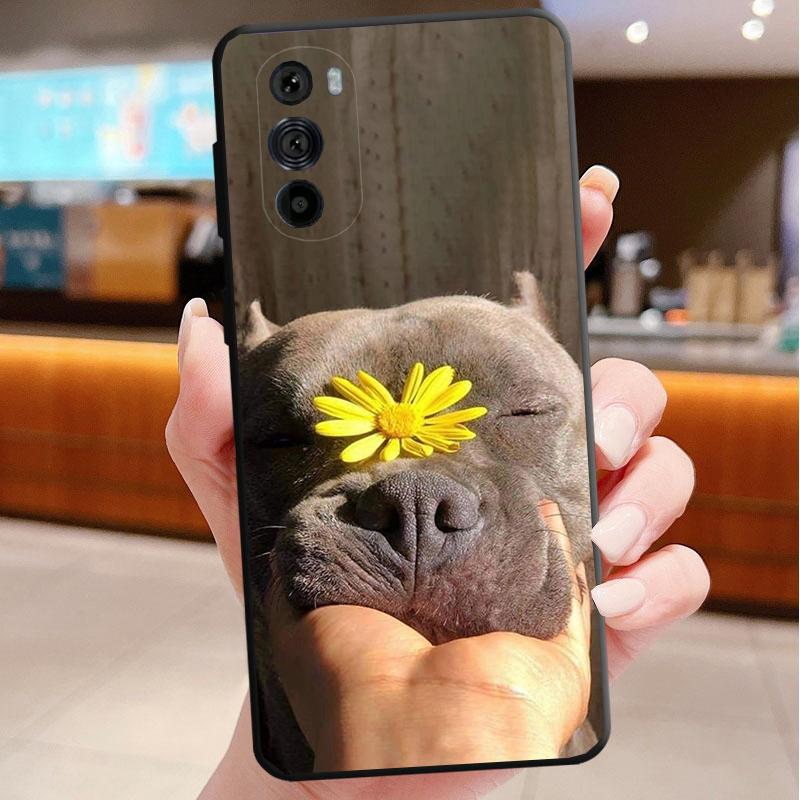 Phone Case For Motorola Edge 50 40 Pro 60 50 40 30 Ultra Neo Fusion Moto G Play G Stylus G Power G Pitbull Terrier Dog Moto G 5G 2024
Phone Case For Motorola Edge 50 40 Pro 60 50 40 30 Ultra Neo Fusion Moto G Play G Stylus G Power G Pitbull Terrier Dog Moto G 5G 2024