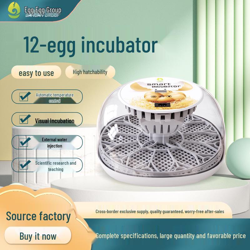WONEGG 12-Piece Children s Educational Egg Incubator with Transparent Top for Hatching
WONEGG 12-Piece Children s Educational Egg Incubator with Transparent Top for Hatching