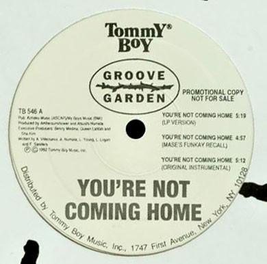 12inch Record GROOVE GARDEN - You re Not Coming Home TB546 Tommy Boy 1992 US Dance & Electronica Used
12inch Record GROOVE GARDEN - You re Not Coming Home TB546 Tommy Boy 1992 US Dance & Electronica Used