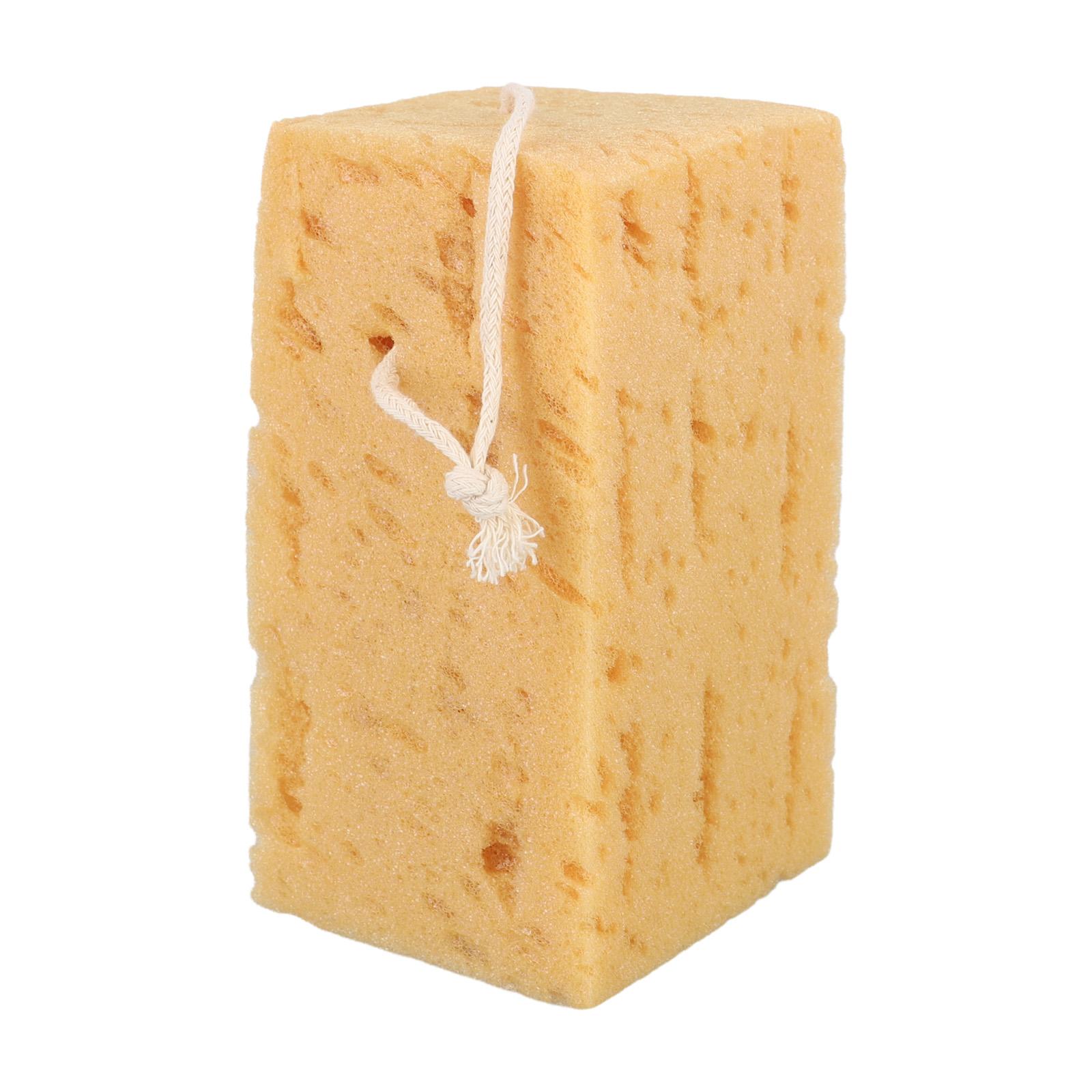 For Floor Tiles Coral Material Sponge Sponge Large Size Soft And Gentle Convenient Package High Absorption Capacity China Mainland
For Floor Tiles Coral Material Sponge Sponge Large Size Soft And Gentle Convenient Package High Absorption Capacity China Mainland