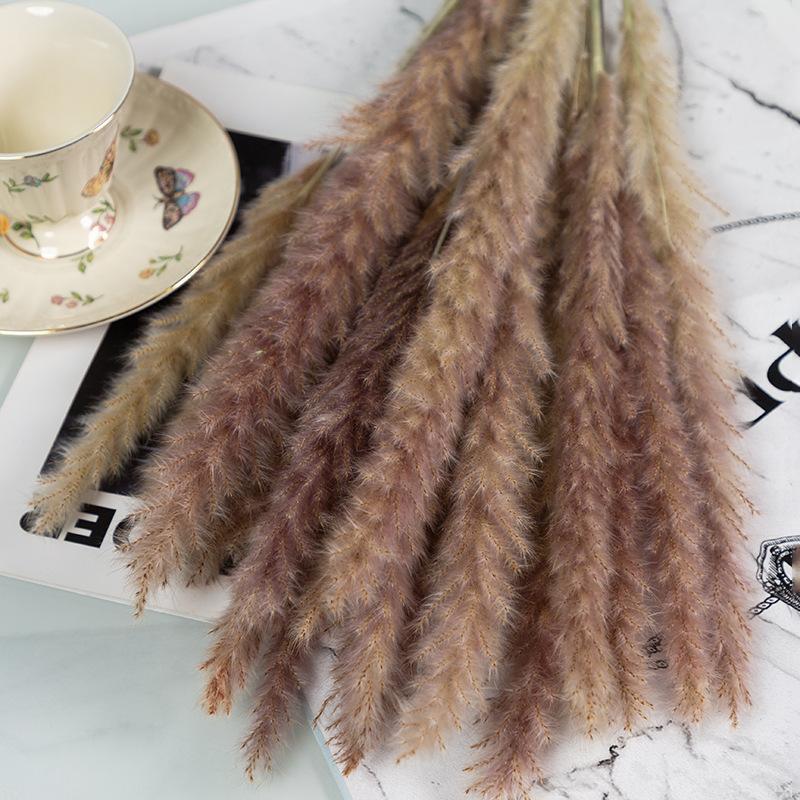 Маленький камыш пампасная трава сухоцвет специальное предложение маленький камыш букет сухоцветов украшение свадебная композиция
Маленький камыш пампасная трава сухоцвет специальное предложение маленький камыш букет сухоцветов украшение свадебная композиция