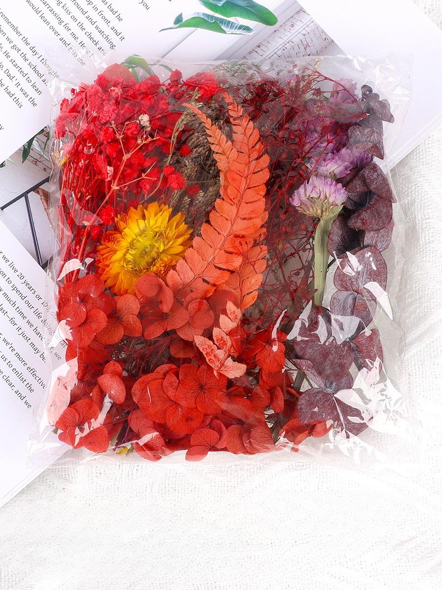 Natural Plants Dried Starry Sky Flowers Preserved Materials Kit Epoxy Resin Candles Soap DIY Floral Materials Set Dried Flowers красный
Natural Plants Dried Starry Sky Flowers Preserved Materials Kit Epoxy Resin Candles Soap DIY Floral Materials Set Dried Flowers красный