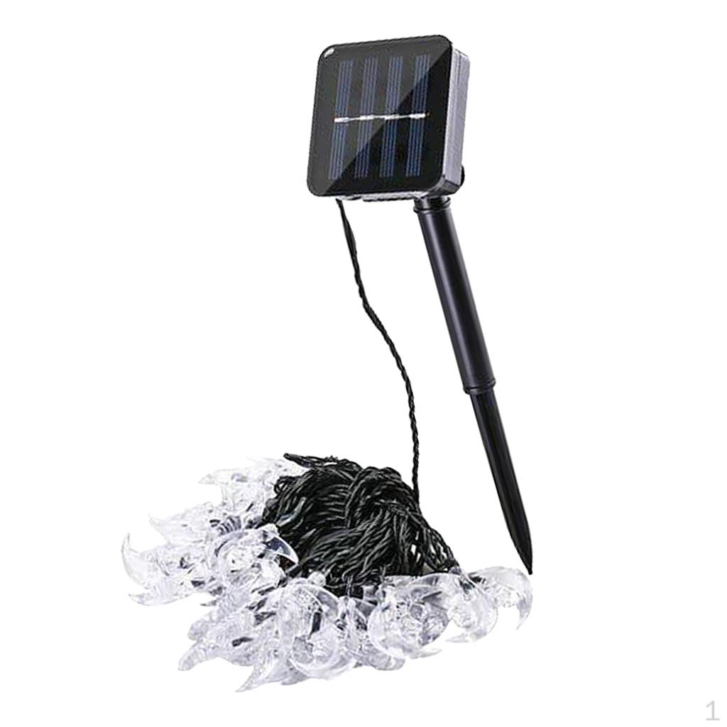30 olar Powered tring Light Lantern Wedding Outdoor White
30 olar Powered tring Light Lantern Wedding Outdoor White