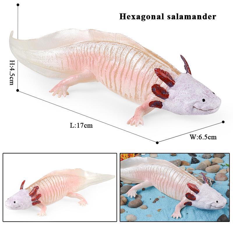 Oenux Амфибии Водное животное Тритон Саламандра Cryptobranchoidea Животные Модель Фигурка Действия Образование Милая Детская Игрушка Подарок
Oenux Амфибии Водное животное Тритон Саламандра Cryptobranchoidea Животные Модель Фигурка Действия Образование Милая Детская Игрушка Подарок