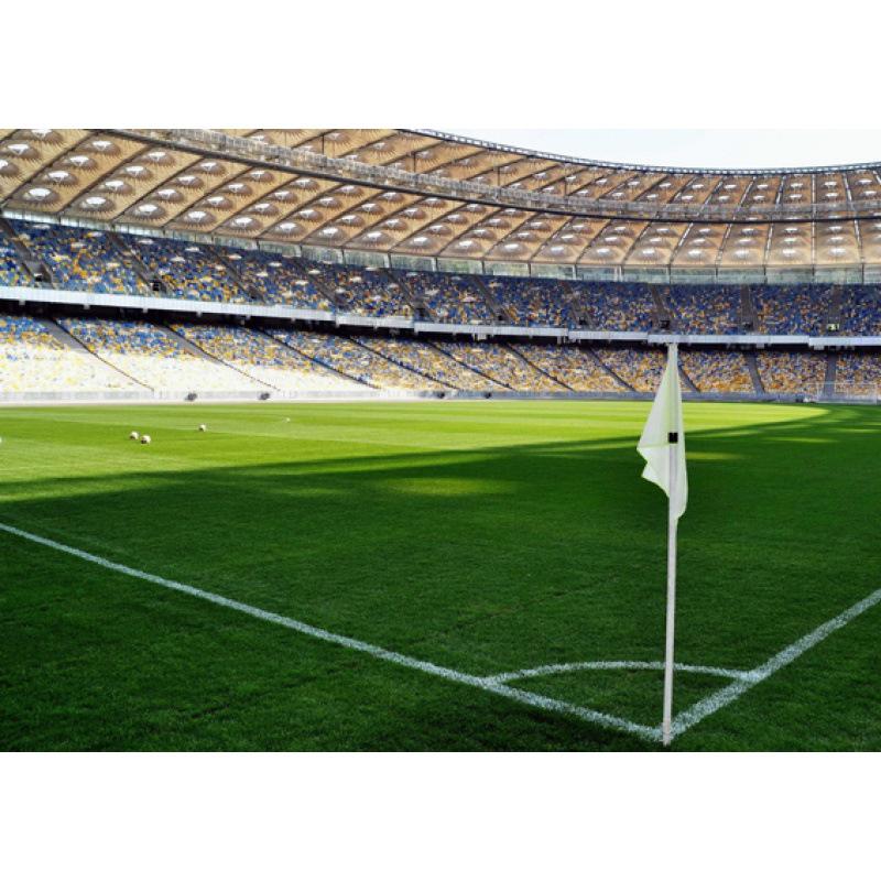 World Cup Stadium Posters: Free Shipping Decorative Wall Art for Living Room or Dorm, Kraft Paper Photo Frames and Murals. White card paper (non-adhesive) 30*42 cm
World Cup Stadium Posters: Free Shipping Decorative Wall Art for Living Room or Dorm, Kraft Paper Photo Frames and Murals. White card paper (non-adhesive) 30*42 cm