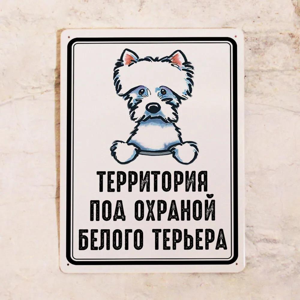 Metal Sign White Terrier Territory Controlled 20x30 cm Wall Decor Tin Poster 30
Metal Sign White Terrier Territory Controlled 20x30 cm Wall Decor Tin Poster 30
