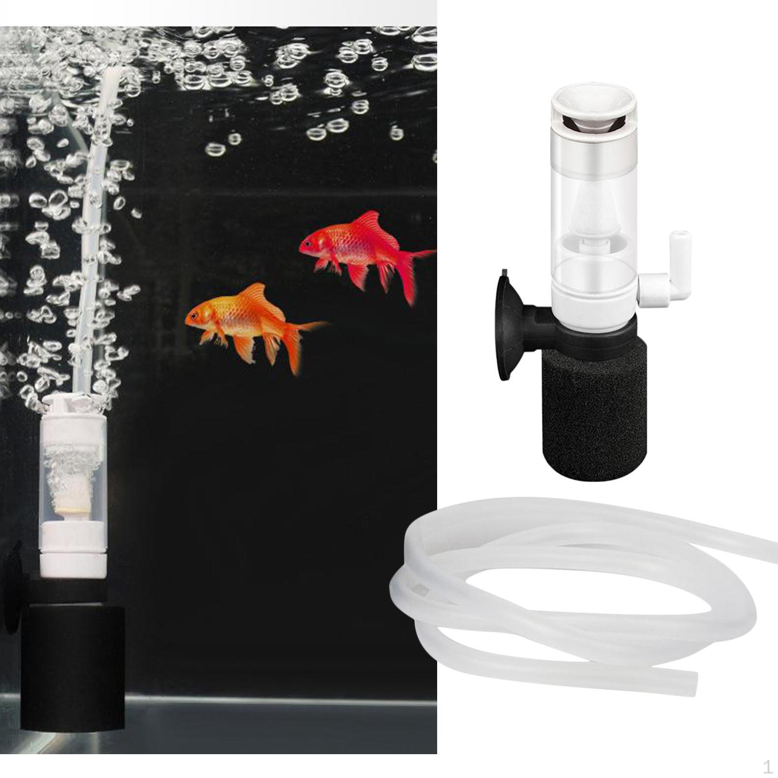 Mini Sponge Water Filter Filtration for Small Aquarium Tank
Mini Sponge Water Filter Filtration for Small Aquarium Tank