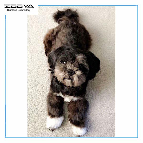 ZOOYA 3D Алмазная вышивка Картина Вышивка крестом Круглый горный хрусталь Картина Животное собака
ZOOYA 3D Алмазная вышивка Картина Вышивка крестом Круглый горный хрусталь Картина Животное собака