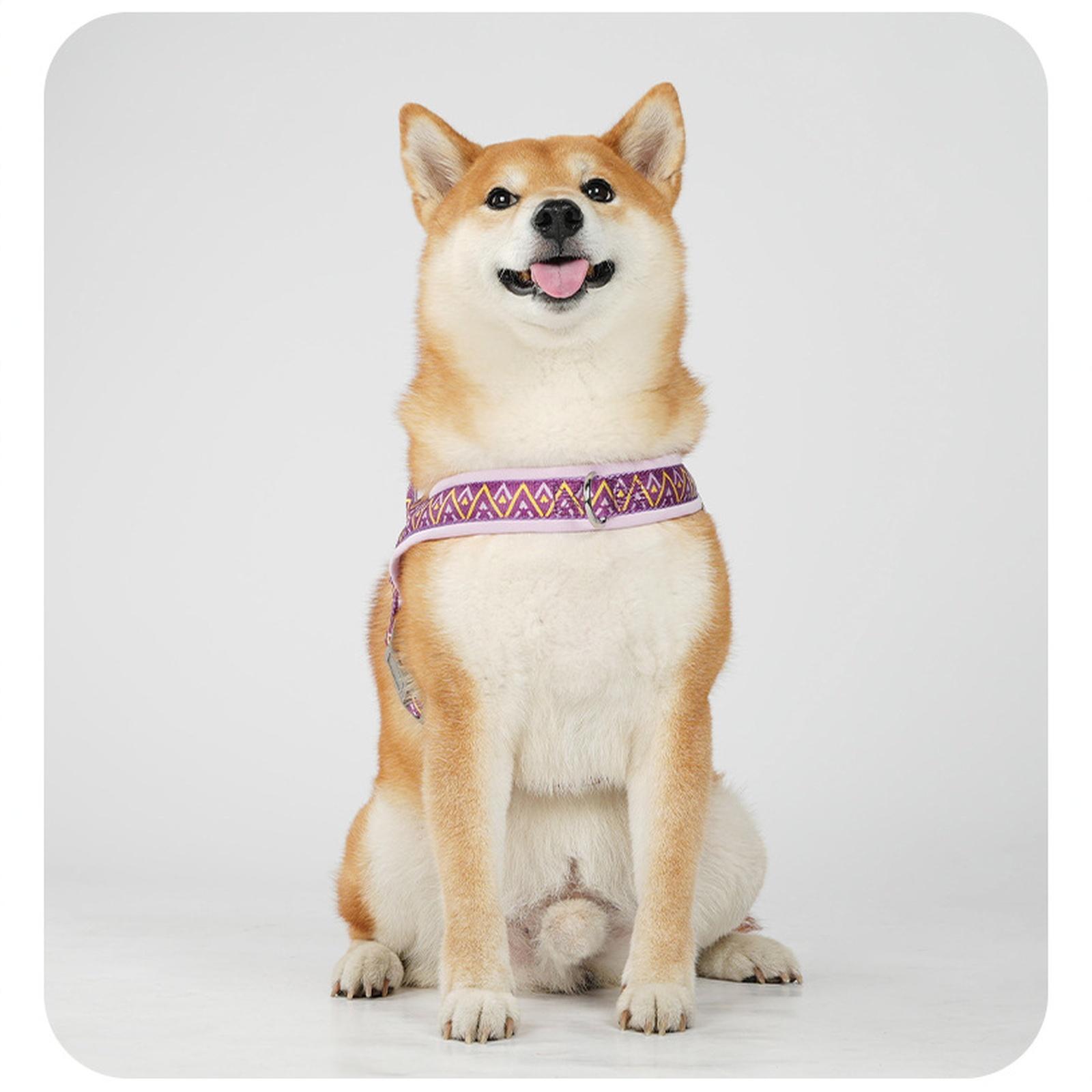 Saddle- Dog & Leash -Pull for Small Medium Large Dogs S фіолетовий
Saddle- Dog & Leash -Pull for Small Medium Large Dogs S фіолетовий