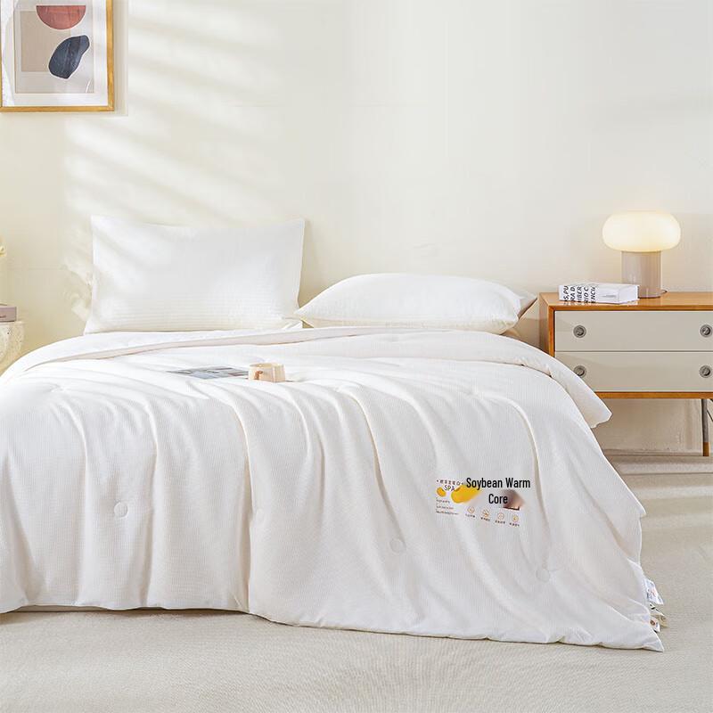 Louis Caro Warm Soybean Fiber Jacquard Quilt
Louis Caro Warm Soybean Fiber Jacquard Quilt