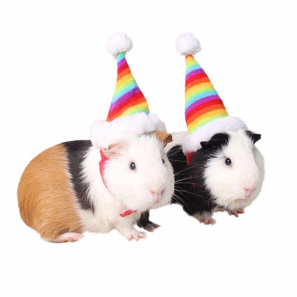 Supplies Head Accessories Rats Hamster Santa Claus Cap Costume Decor Pet Christmas Hat Cat Hat різнокольоровий
Supplies Head Accessories Rats Hamster Santa Claus Cap Costume Decor Pet Christmas Hat Cat Hat різнокольоровий