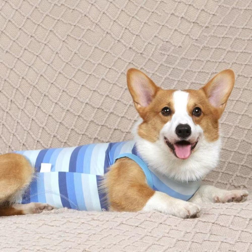 Soft Dogs Postoperative Clothes Breathable Puppy Jumpsuits Anti Licking Wound Pet Clothes Corgi L рожевий
Soft Dogs Postoperative Clothes Breathable Puppy Jumpsuits Anti Licking Wound Pet Clothes Corgi L рожевий