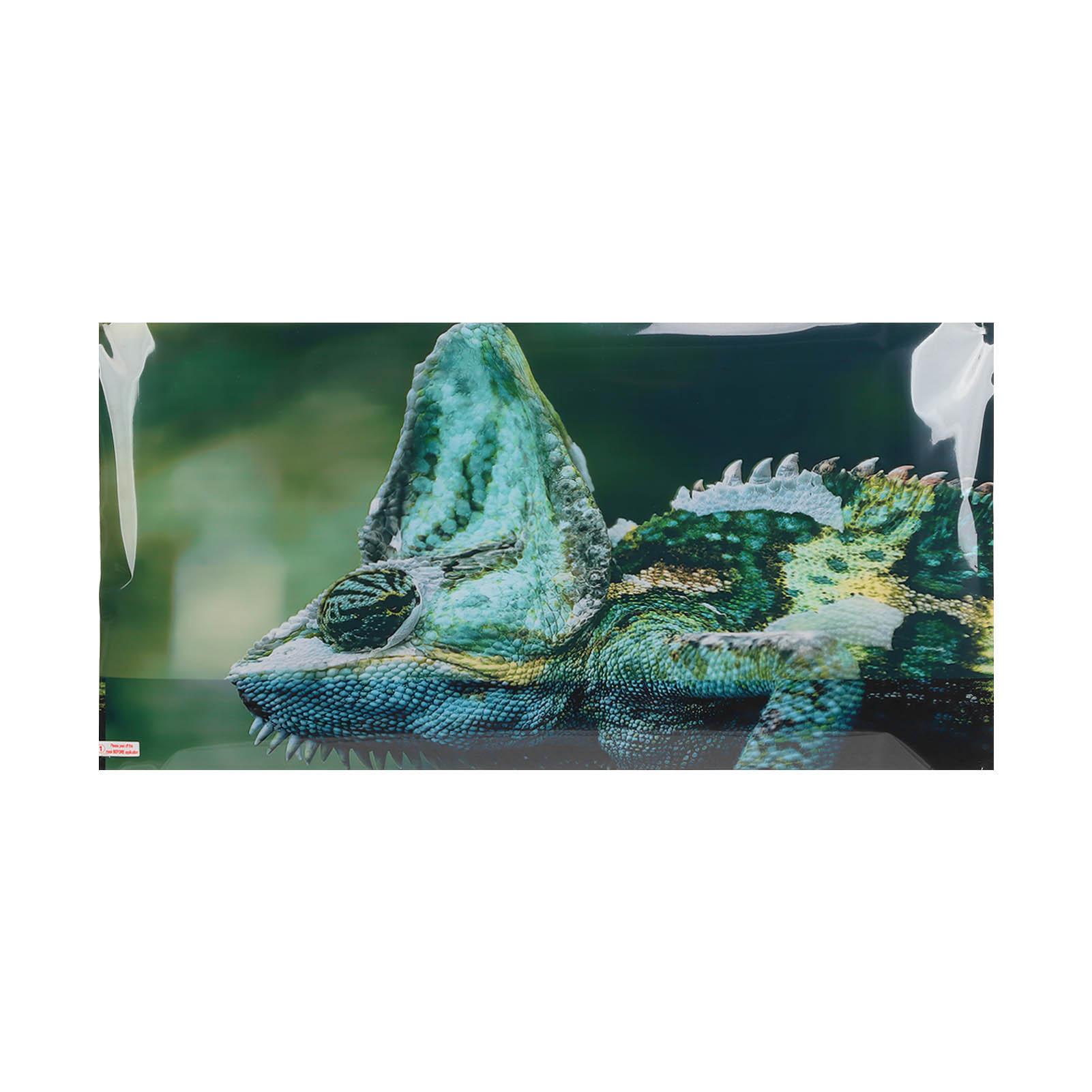 Aquarium Background PVC 3D Effects Multipurpose Fish Tank Decoration Picture for Fish Tank
Aquarium Background PVC 3D Effects Multipurpose Fish Tank Decoration Picture for Fish Tank