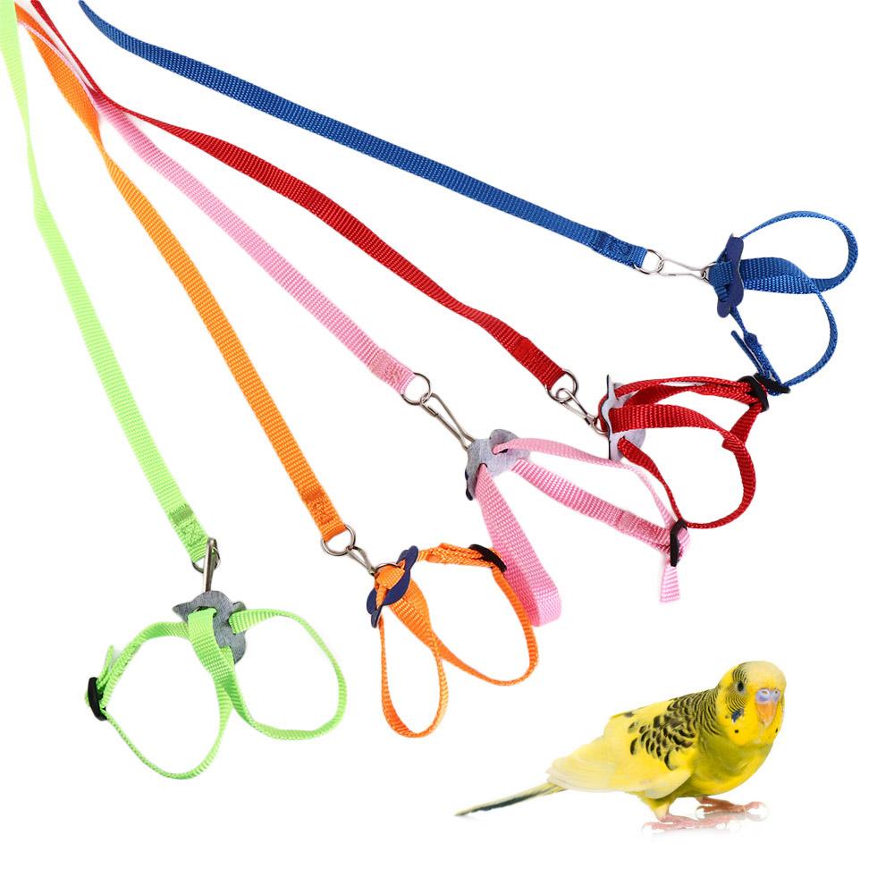 Pet Leash Training Rope Turtle Pet Harness Reptile Leash Pet Traction Strap Bird Collar Harness червоний
Pet Leash Training Rope Turtle Pet Harness Reptile Leash Pet Traction Strap Bird Collar Harness червоний