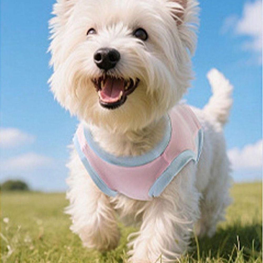 Breathable Pet Sunscreen Clothes Sleeveless Cat Ice Silk Shirt Dog Cooling Vest Summer XS рожевий
Breathable Pet Sunscreen Clothes Sleeveless Cat Ice Silk Shirt Dog Cooling Vest Summer XS рожевий