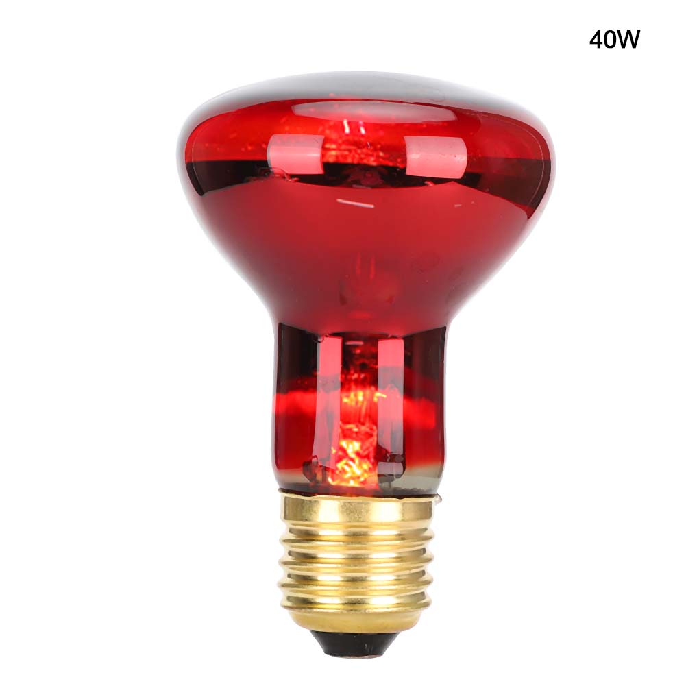 E27 R63 Инфракрасная лампа для рептилий Животное Питомец Обогревательная лампа Лампа Лампочка для Черепахи Змеи 60 Вт
E27 R63 Инфракрасная лампа для рептилий Животное Питомец Обогревательная лампа Лампа Лампочка для Черепахи Змеи 60 Вт