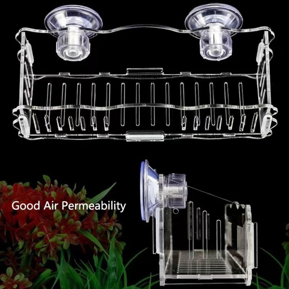 With Suction Cup Hanging Fish Tank Clear Water Planting Cylinder Cup Acrylic Fish Tank Aquascaping S-Hook
With Suction Cup Hanging Fish Tank Clear Water Planting Cylinder Cup Acrylic Fish Tank Aquascaping S-Hook