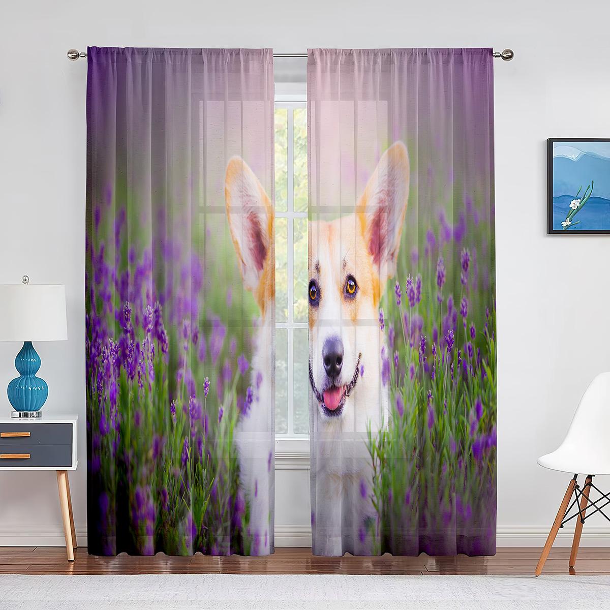 Corgi In The Flower Field Puppy Dog Прозрачные шторы для оконного оформления кухни, гостиной, спальни, декора, современных тюлевых штор 1 PCS W100XH250cm&Rod Pocket
Corgi In The Flower Field Puppy Dog Прозрачные шторы для оконного оформления кухни, гостиной, спальни, декора, современных тюлевых штор 1 PCS W100XH250cm&Rod Pocket