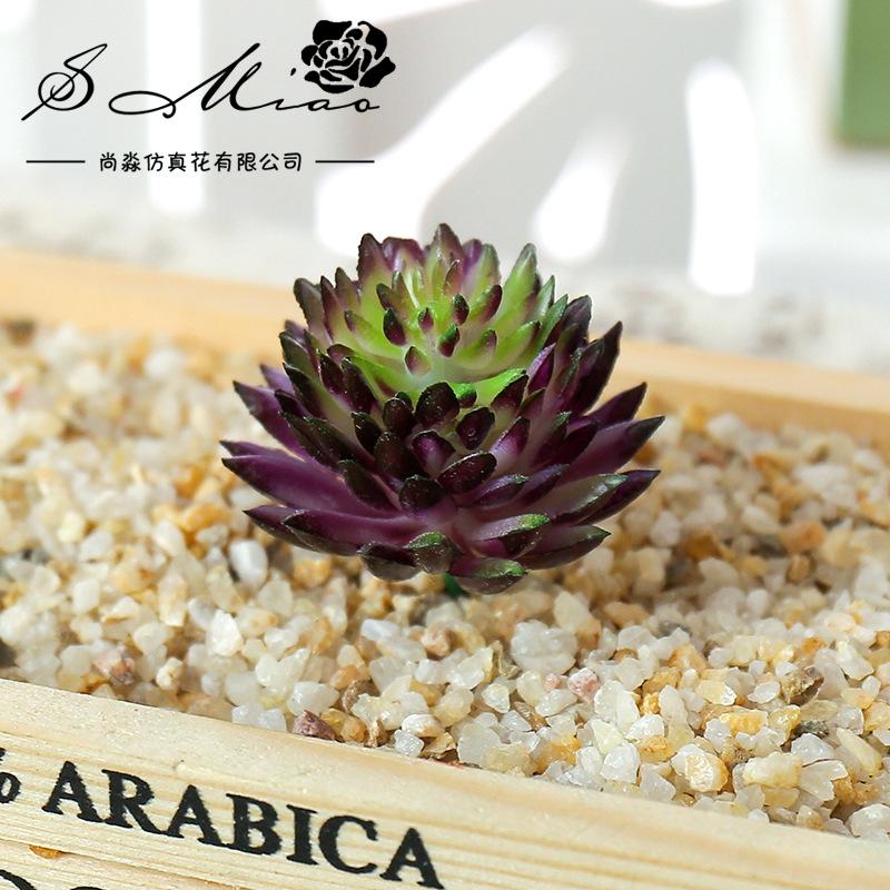 Artificial Succulent Flocking Plants Mini Fake Flower Succulents Plant Lotus Landscape Decorative Home Garden Arrange Decoration 6cmx4cm
Artificial Succulent Flocking Plants Mini Fake Flower Succulents Plant Lotus Landscape Decorative Home Garden Arrange Decoration 6cmx4cm
