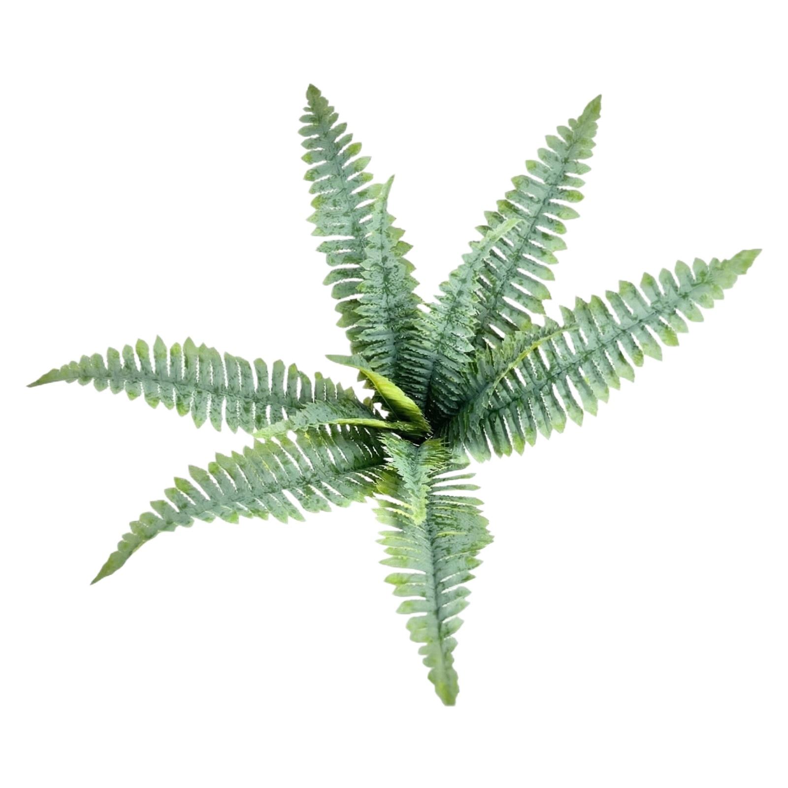 Artificial Plants, Simulated Large Persian Leaves, Fake , Indoor Plant Wall Decoration Accessories, Aquatic Plant Bundles One Size
Artificial Plants, Simulated Large Persian Leaves, Fake , Indoor Plant Wall Decoration Accessories, Aquatic Plant Bundles One Size