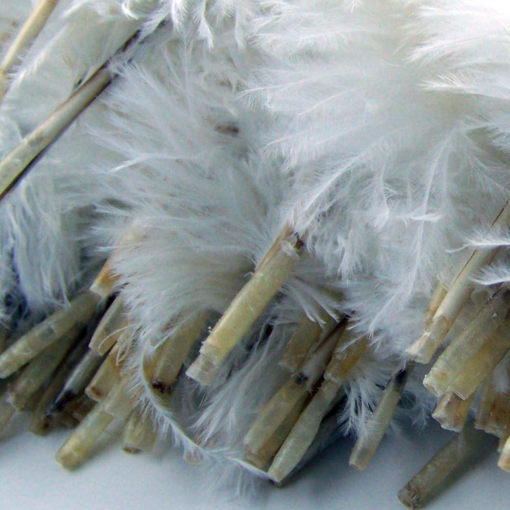 KOLIGHT 50pcs 12 ~14 (30~35cm) Natural Ostrich Feathers for DIY Home Wedding Party Office Decoration (White) белый
KOLIGHT 50pcs 12 ~14 (30~35cm) Natural Ostrich Feathers for DIY Home Wedding Party Office Decoration (White) белый