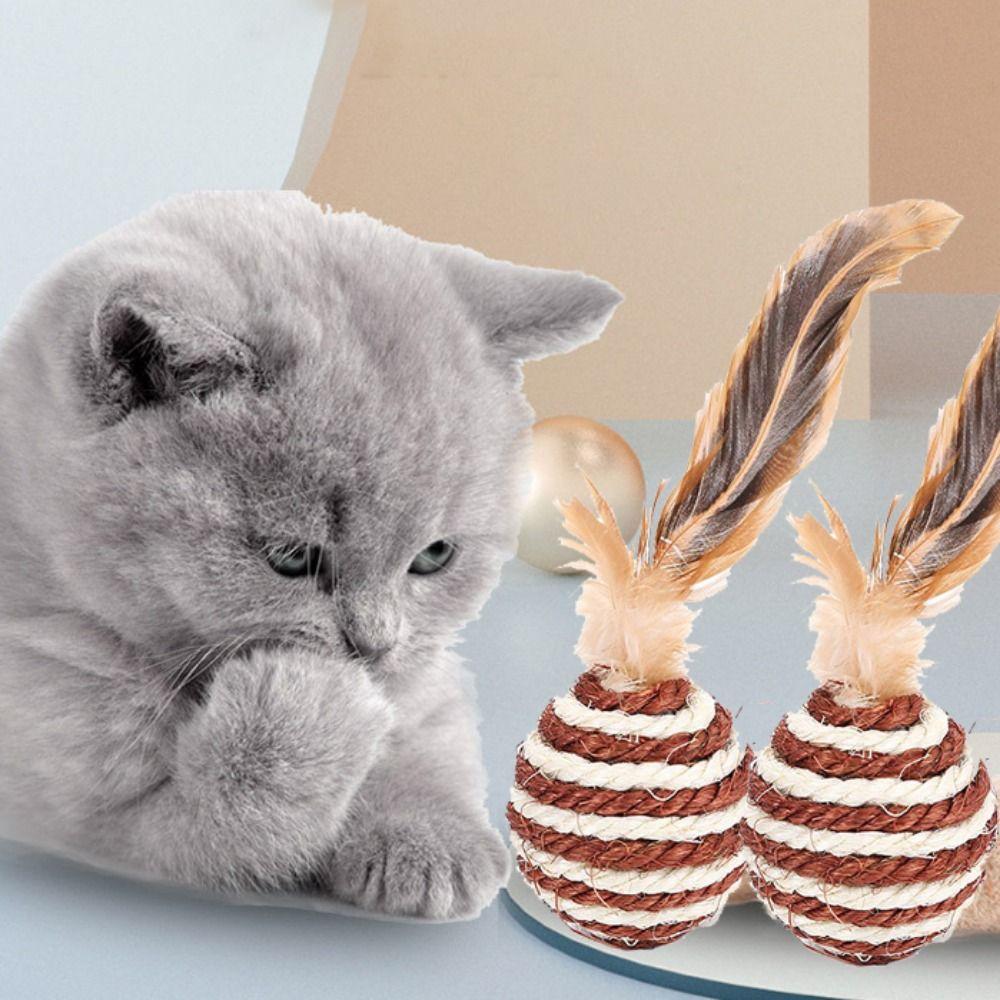 Устойчивость к укусам с игрушкой Feather Cat Playing Toy Игры для котят Игрушки Sisal Ball Cat Training Cat Cat Cater 1pc
Устойчивость к укусам с игрушкой Feather Cat Playing Toy Игры для котят Игрушки Sisal Ball Cat Training Cat Cat Cater 1pc